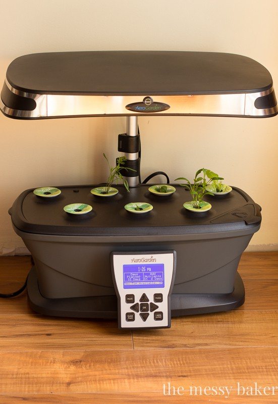 AeroGarden Review | www.themessybakerblog.com