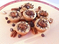 turtle cups6