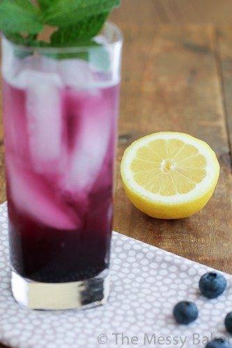 Blueberry Soda-3235