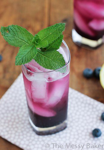 Blueberry Soda-3226