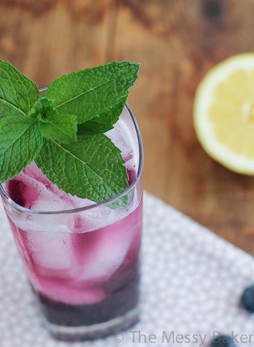 Blueberry Soda-3230
