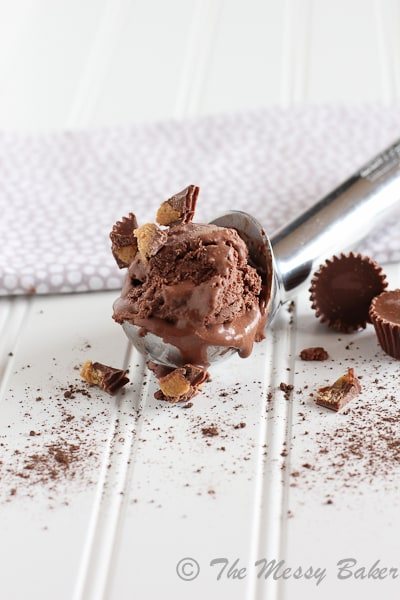 Chocolate Peanut Butter Cup Ice Cream