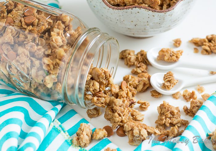 Cookie Butter Cinnamon Chip Granola | www.themessybakerblog.com-8402