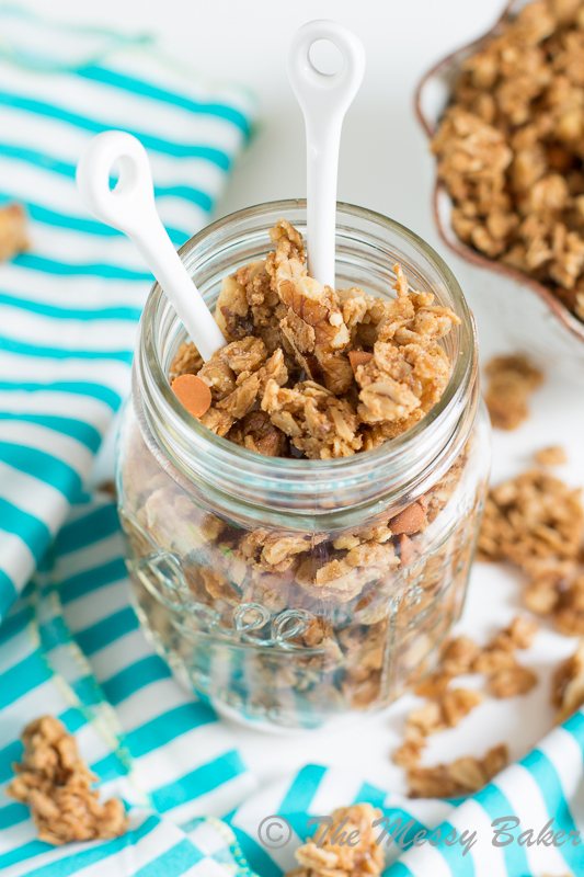 Cookie Butter Cinnamon Chip Granola | www.themessybakerblog.com-8406