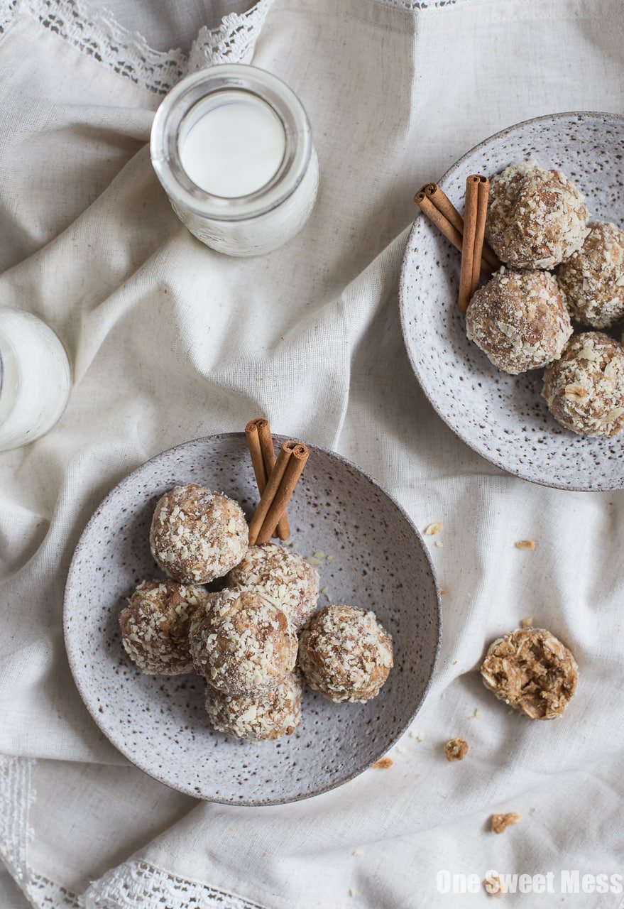 Cookie Butter Cinnamon Chip Oat Balls