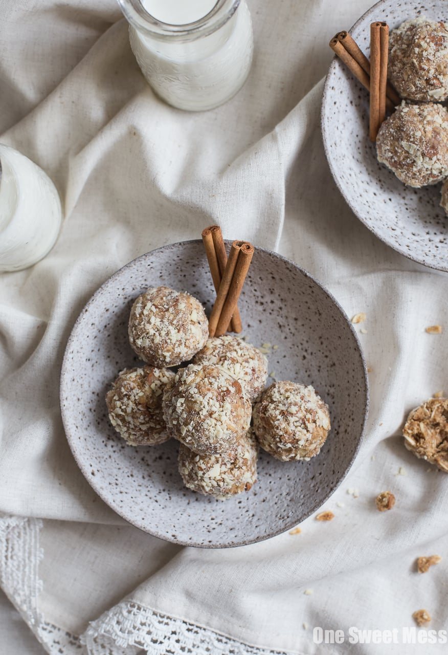 Cookie Butter Cinnamon Chip Oat Balls