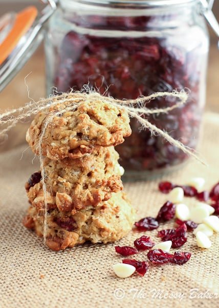Cranberry White Chocolate Chip Oat Cookies {www.themessybakerblog.com}-5204