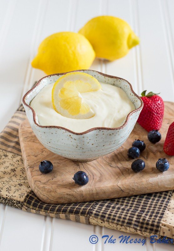 Gluten-Free Lemonade Dip | www.themessybakerblog.com -7421