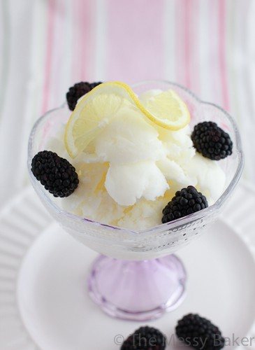 Lemon Sherbet-3751