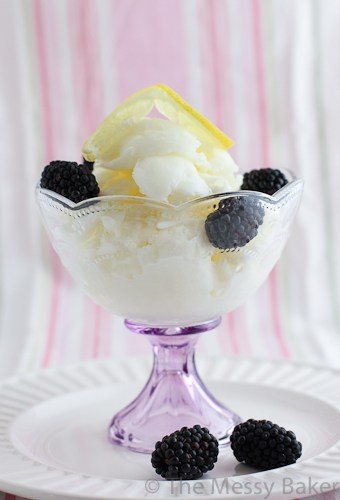 Lemon Sherbet-3754
