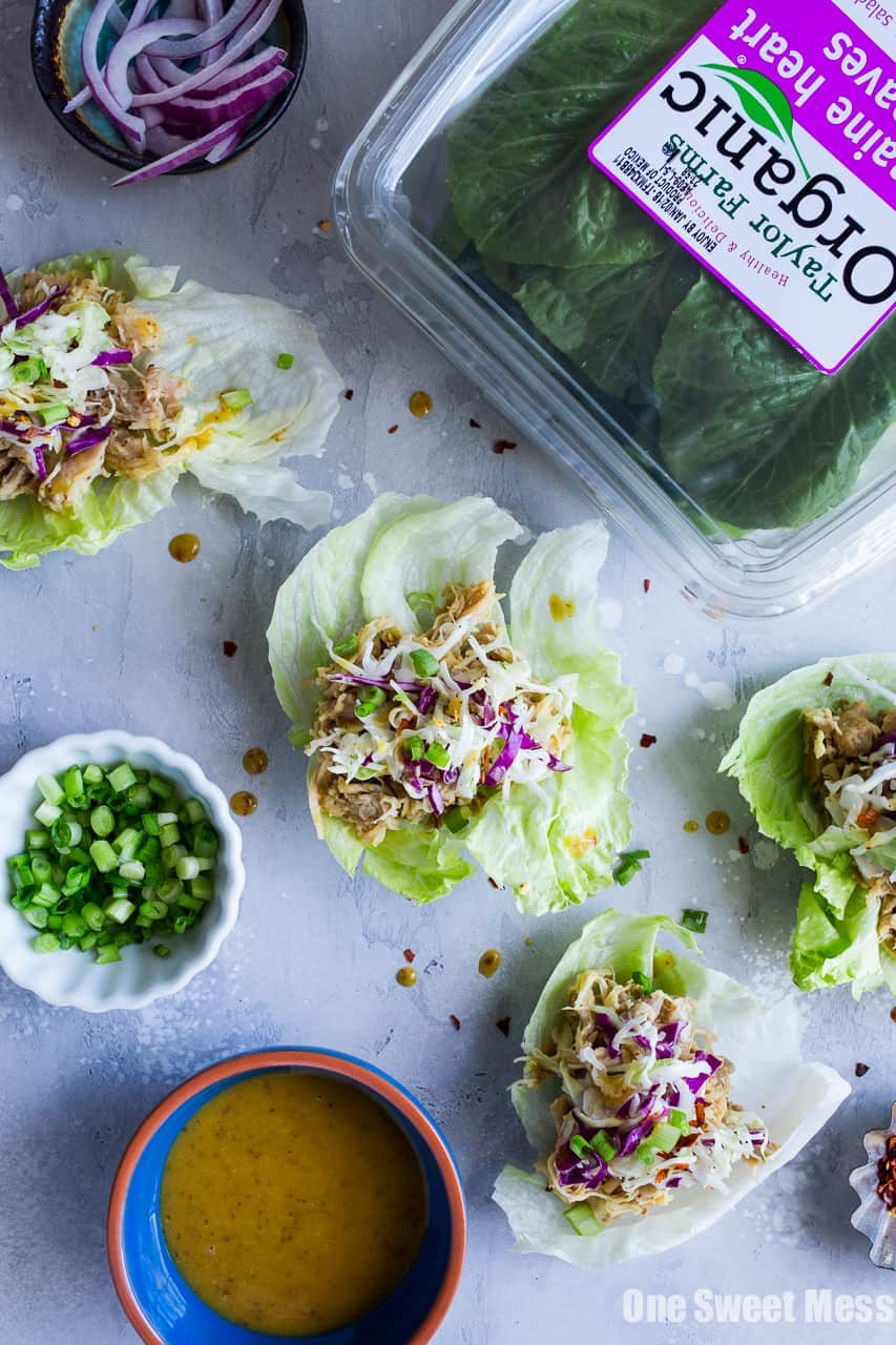Gluten-Free Maple Mustard Pulled Chicken Lettuce Wraps