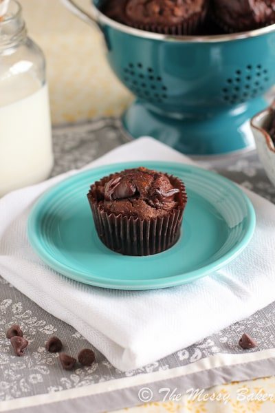 Nutella Swirl Pumpkin Chocolate Muffins {www.themessybakerblog.com}-4809