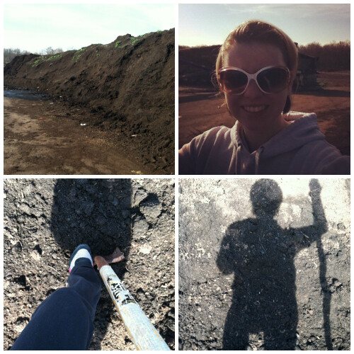 Mt. Stinky Dirt