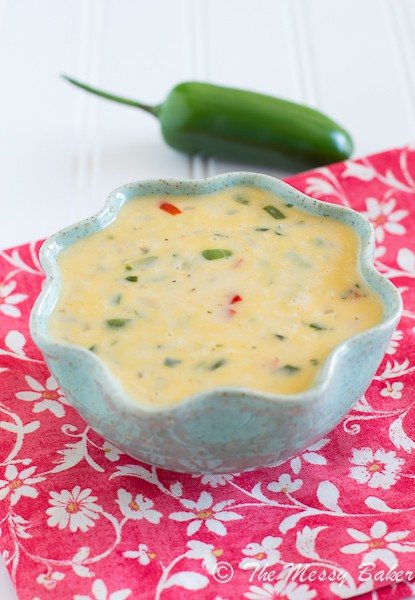 Spicy Queso Blanco | www.themessybakerblog.com -7080