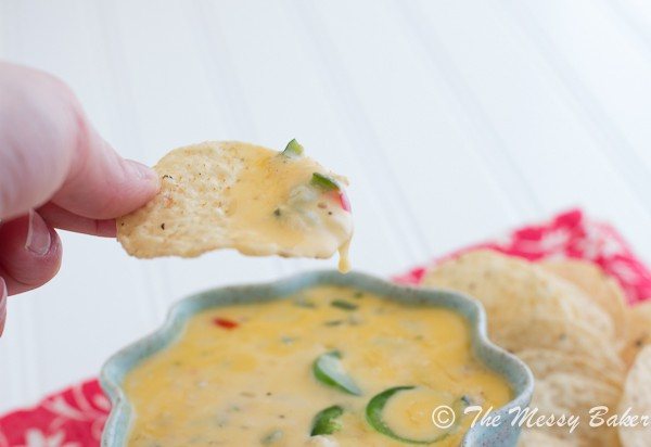 Spicy Queso Blanco | www.themessybakerblog.com -7088