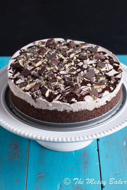 Thin Mint Ice Cream Pie