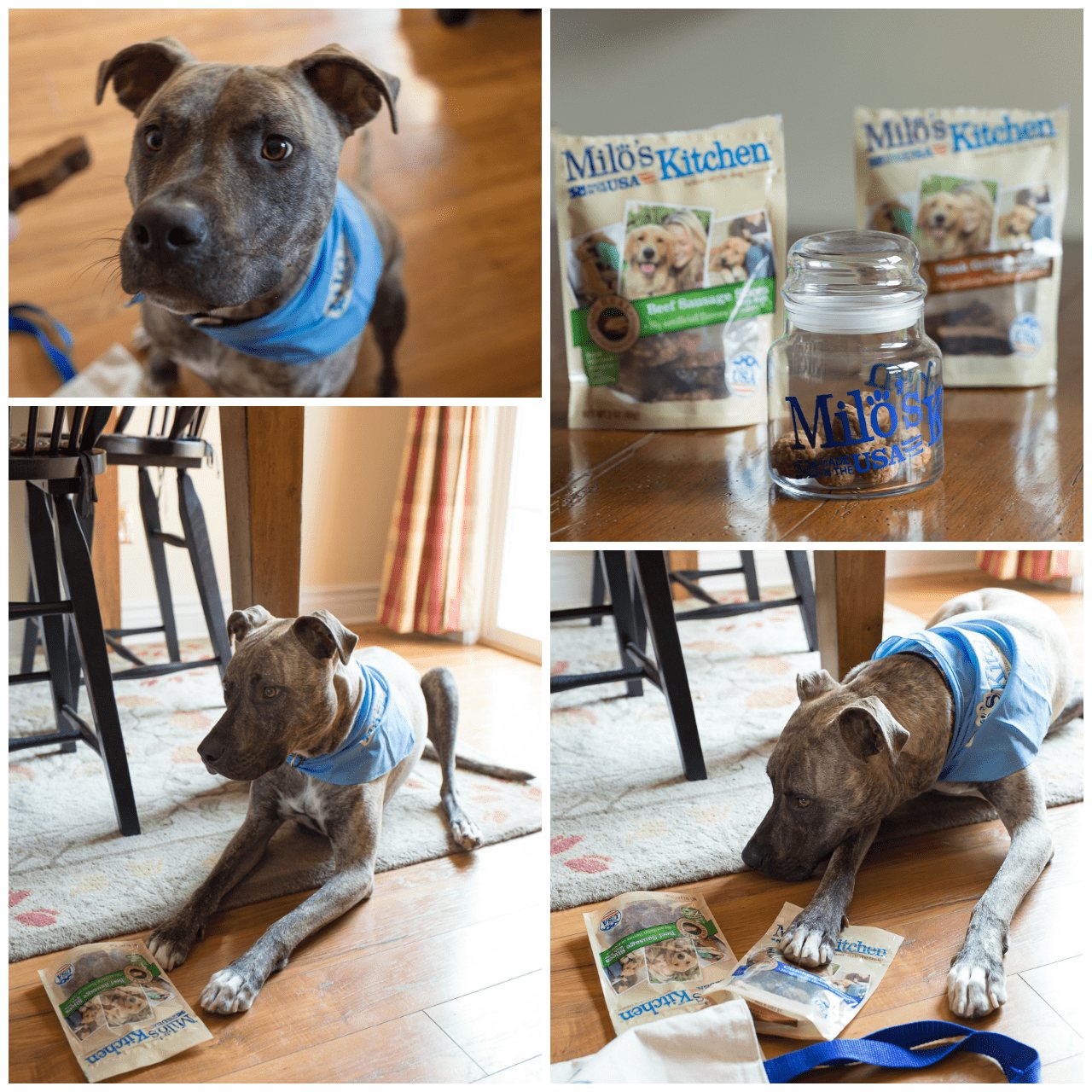 Sully & Milo's Kitchen