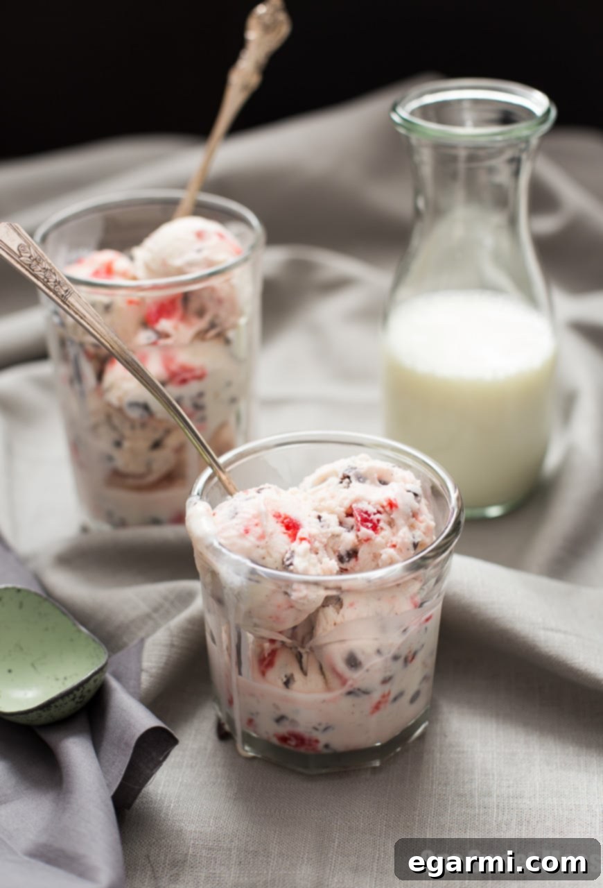 Rich, creamy Cherry Chocolate Chip Ice Cream with visible cherries and chocolate chips in a bowl
