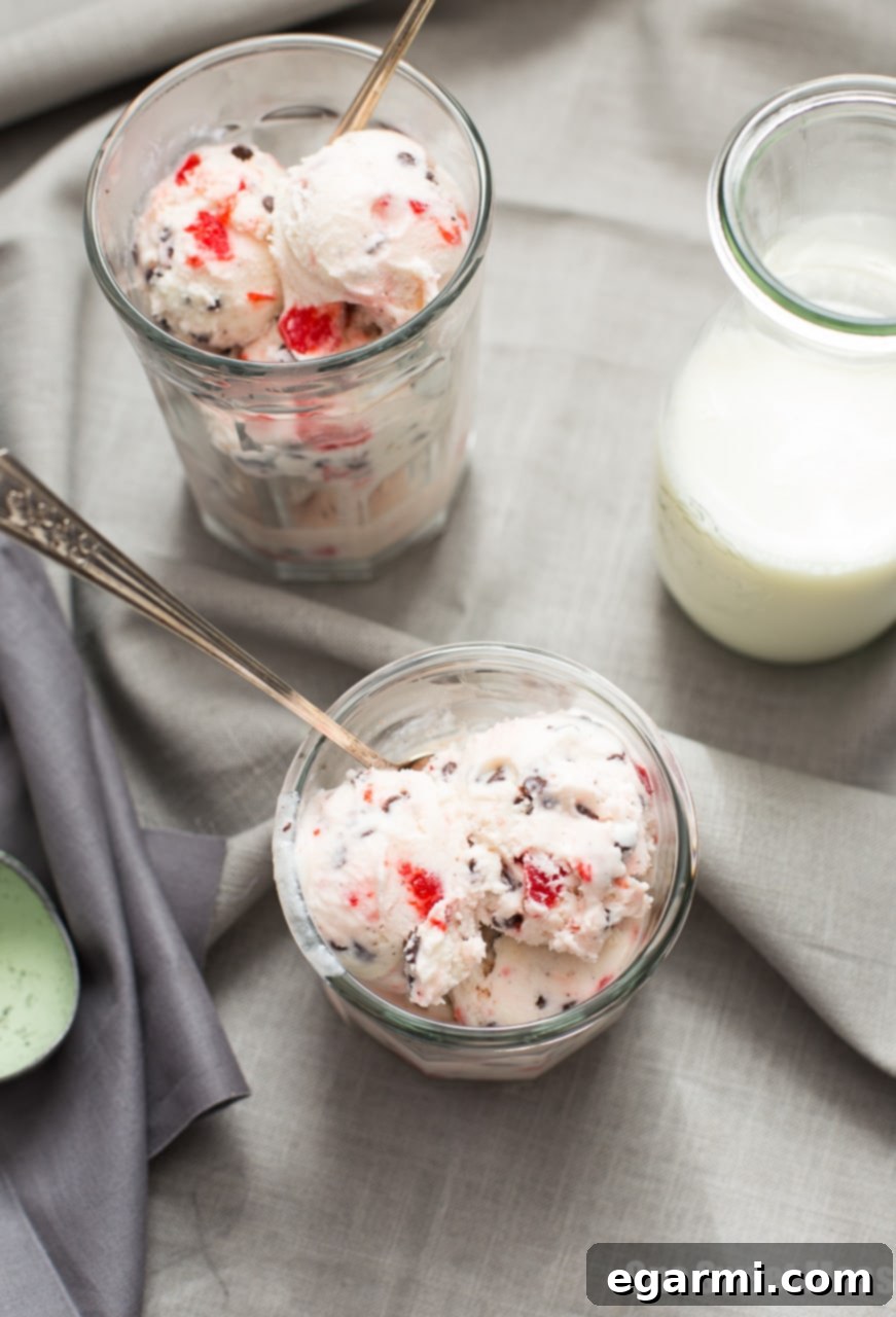 Close-up of Cherry Chocolate Chip Ice Cream in a bowl, showcasing its smooth texture and generous mix-ins
