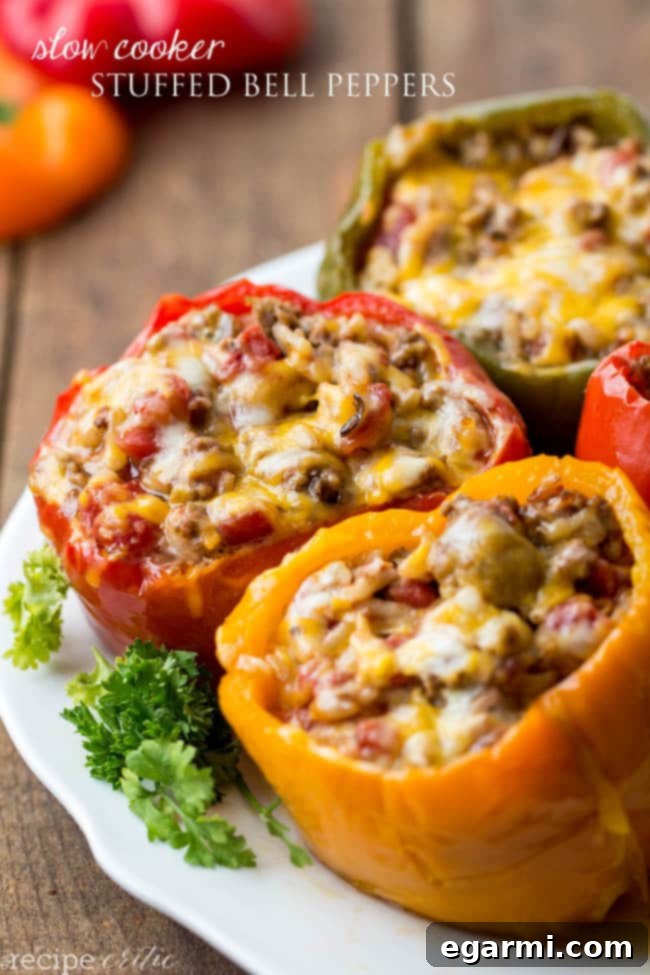 Slow Cooker Stuffed Bell Peppers – Easy and Flavorful Dinner Idea
