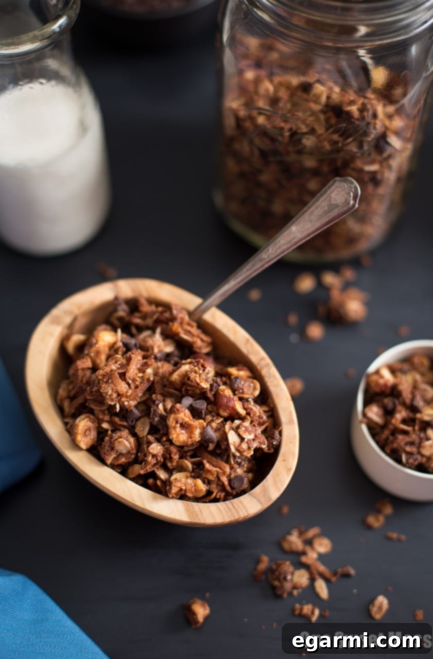 Decadent Chocolate Hazelnut Granola with Mini Chocolate Chips and a crunchy Turbinado Sugar Coating, ready for snacking