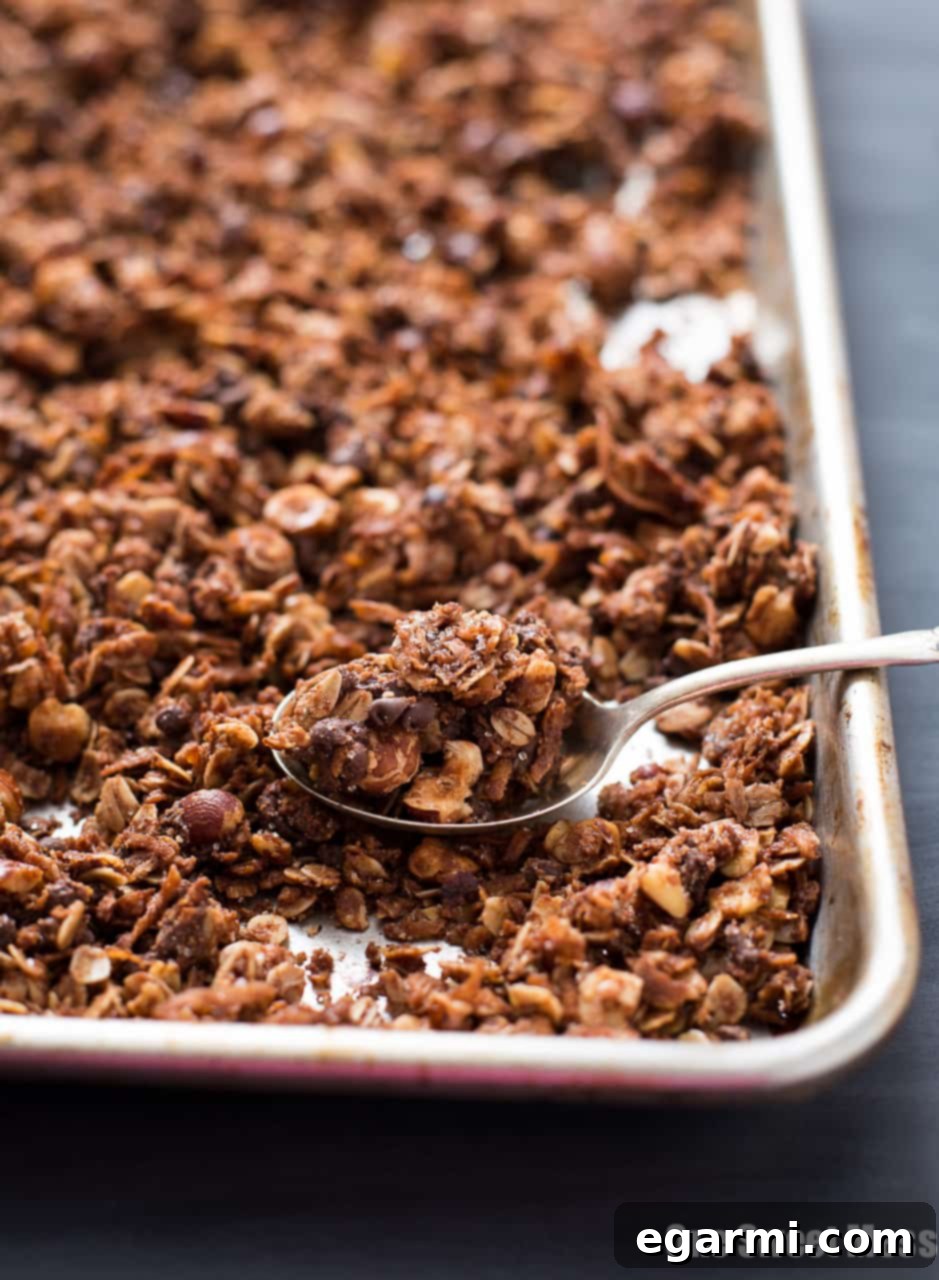 Up-close shot of rich Chocolate Hazelnut Granola, highlighting the mini chocolate chips and toasted hazelnuts