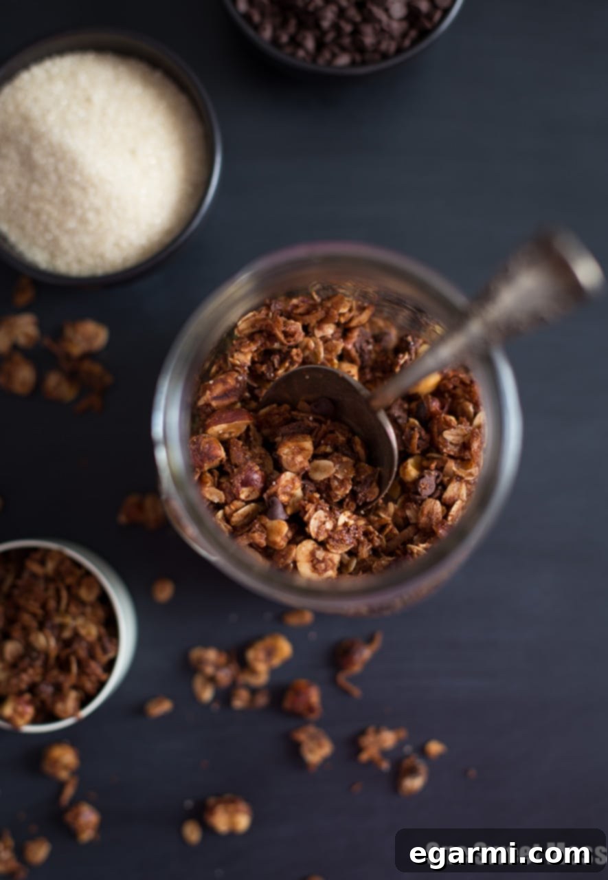 A bowl of freshly baked Chocolate Hazelnut Granola, showing its rustic and inviting texture