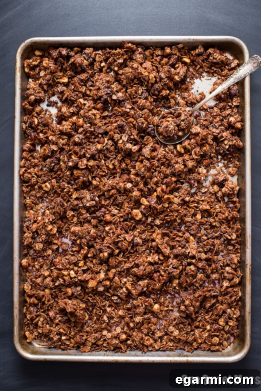 Close-up of Chocolate Hazelnut Granola, showcasing the melted mini chocolate chips clinging to the oats