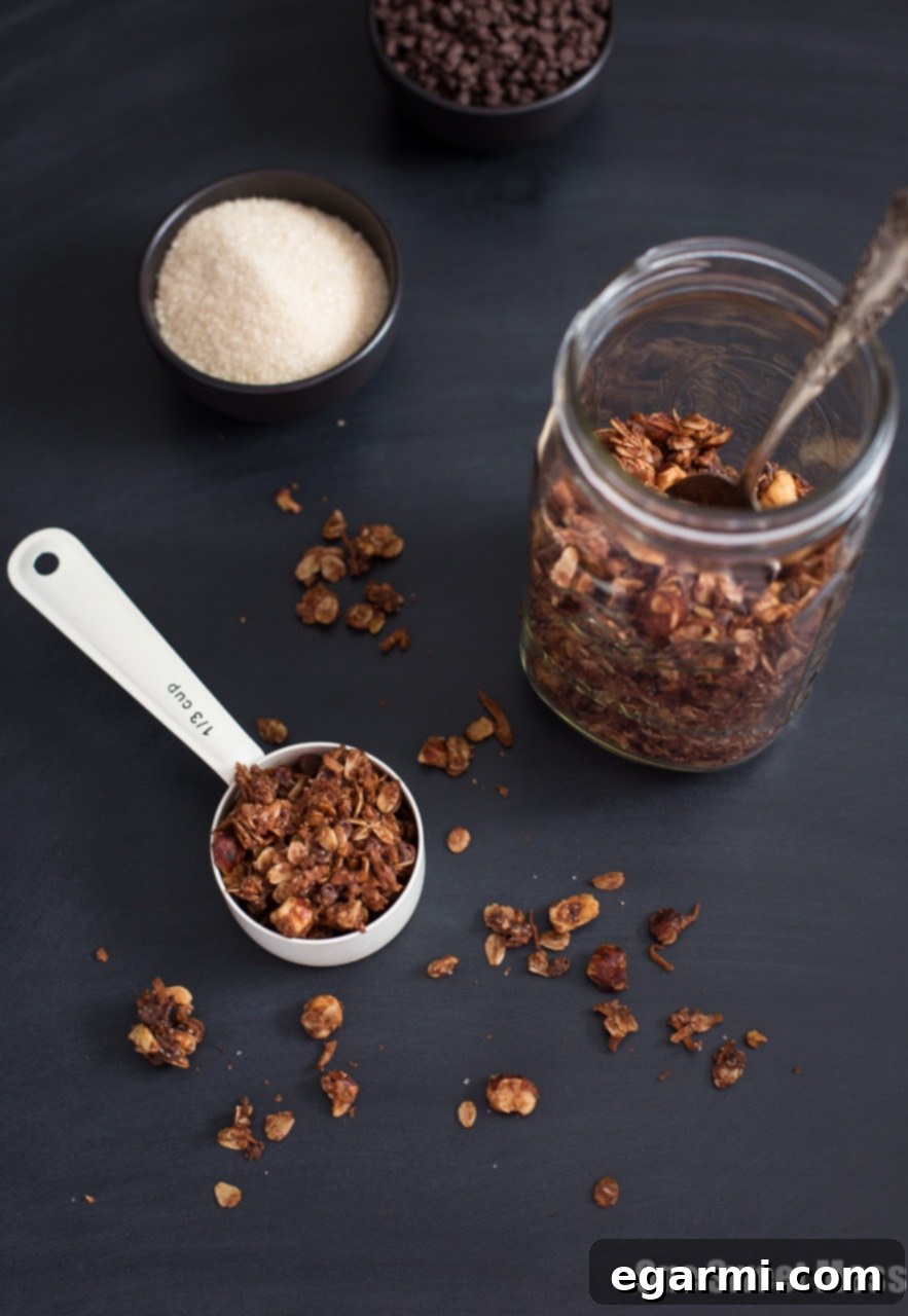 A smaller portion of Chocolate Hazelnut Granola, showcasing its perfect texture for topping yogurt or enjoying solo