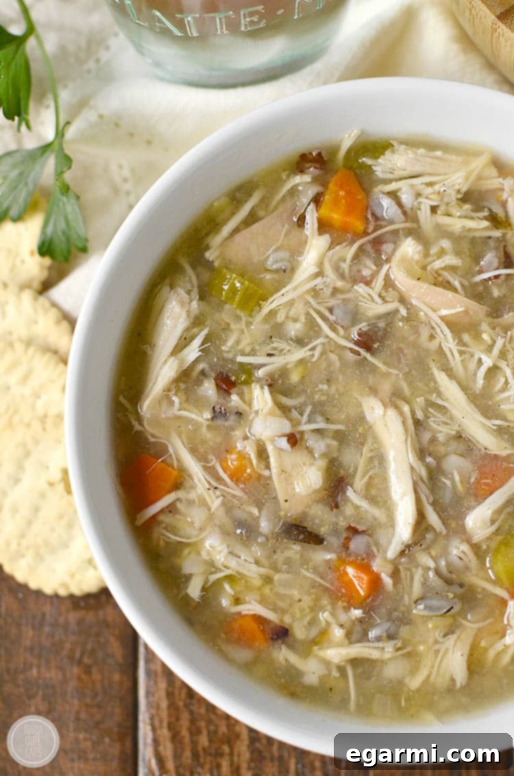 Crockpot Chicken and Wild Rice Soup