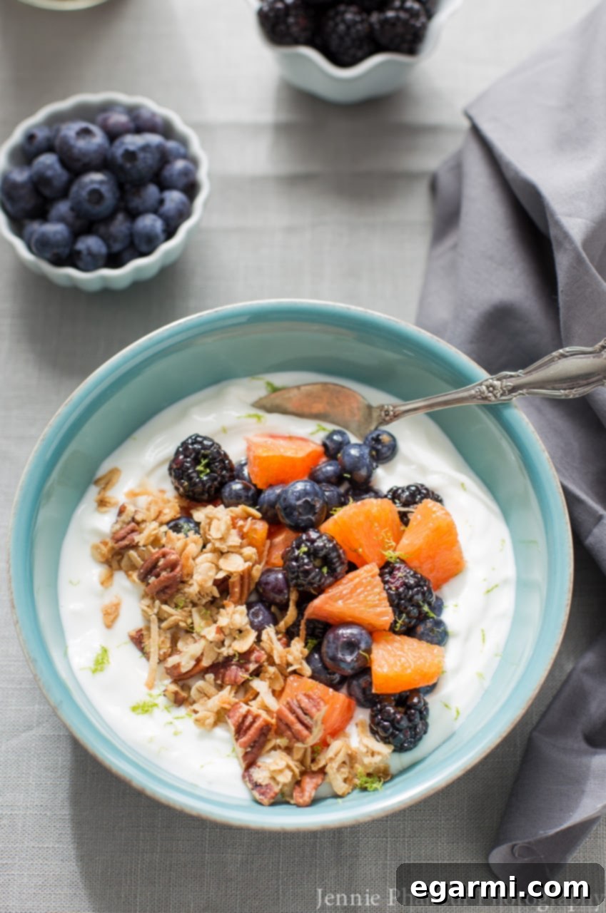 Vibrant Honey Lime Yogurt Bowl 5 Honey-Lime Fruit and Yogurt Bowl - Ready to eat, topped with granola