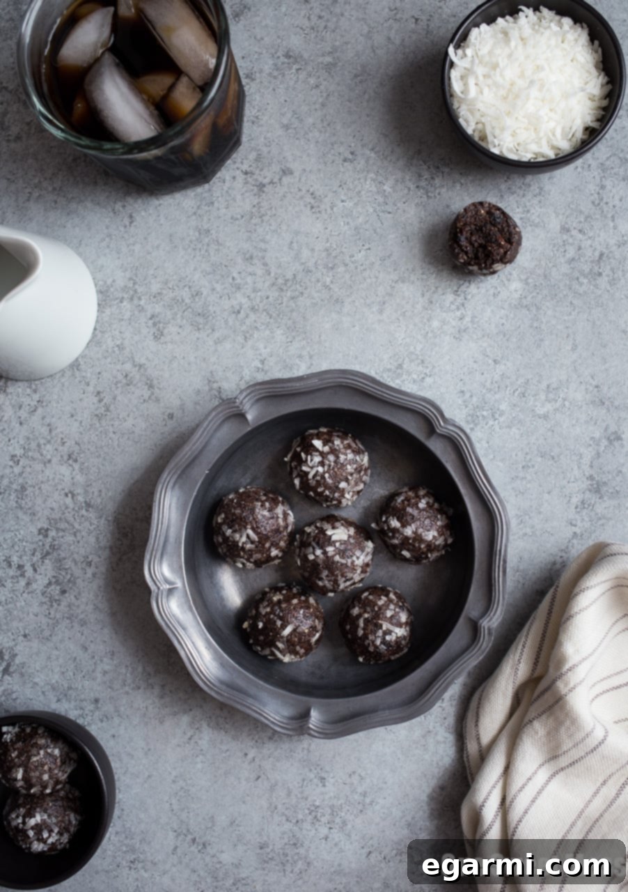 Blueberry Muffin Kickstart Bites 2 Delicious Blueberry Muffin Energy Bites - a healthy, no-bake snack option.
