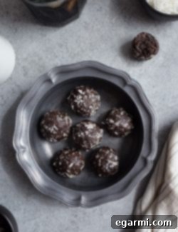 Blueberry Muffin Kickstart Bites 5 img 10391 4