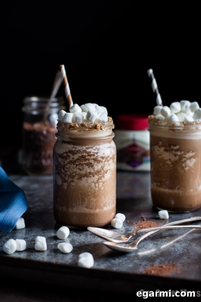 Overhead view of a Boozy S'mores Frozen Hot Chocolate alongside ingredients like marshmallows, chocolate syrup, and pecans