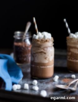Spiked Frozen Smores Cocoa 6 img 10768 5