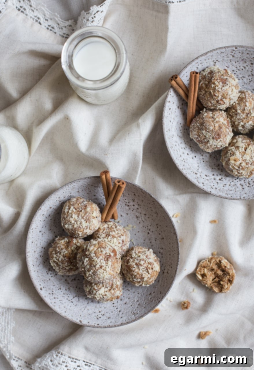 Delicious Cookie Butter Cinnamon Chip Oat Balls on a plate