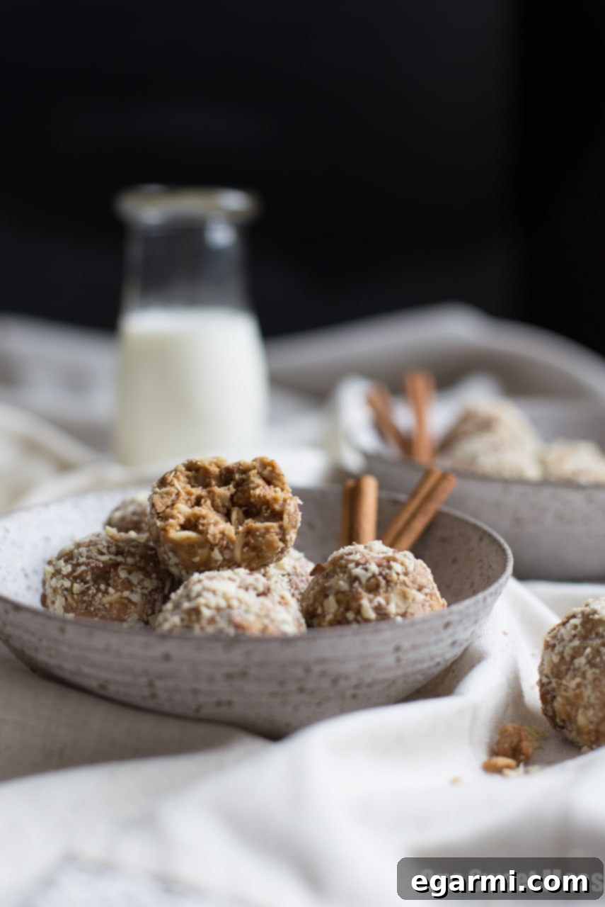 Close-up of freshly made Cookie Butter Cinnamon Chip Oat Balls
