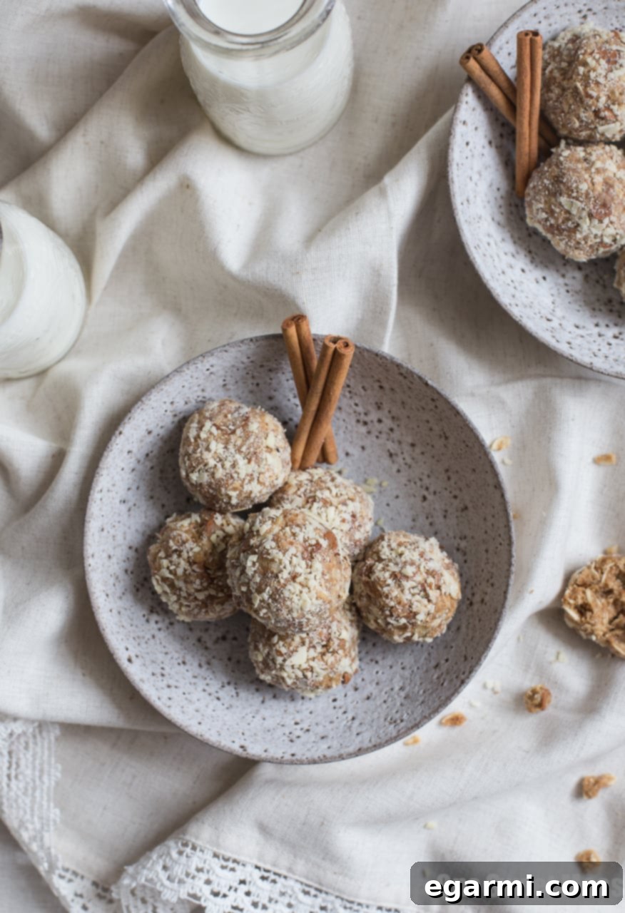 A trio of Cookie Butter Cinnamon Chip Oat Balls on a wooden surface