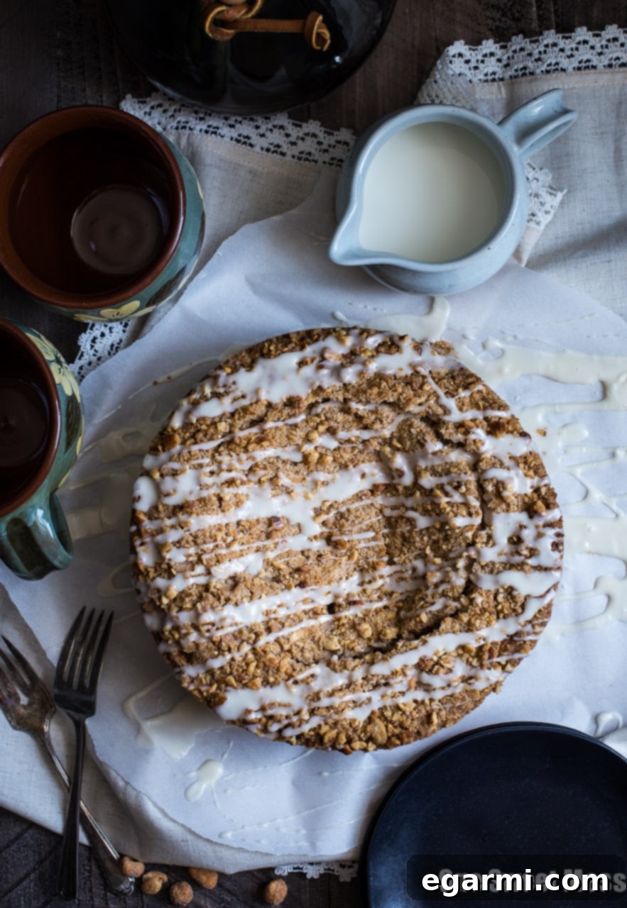 Blueberry Chocolate Chip Cake with Honey Roasted Peanut Streusel, a delightful breakfast or dessert treat.