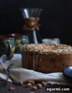 Blueberry Chocolate Chip Cake with Peanut Streusel - Final Product