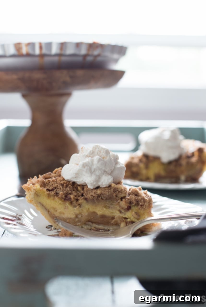 Slice of Apple Custard Pie with Hazelnut Streusel and a generous dollop of Whiskey Cinnamon Whipped Cream