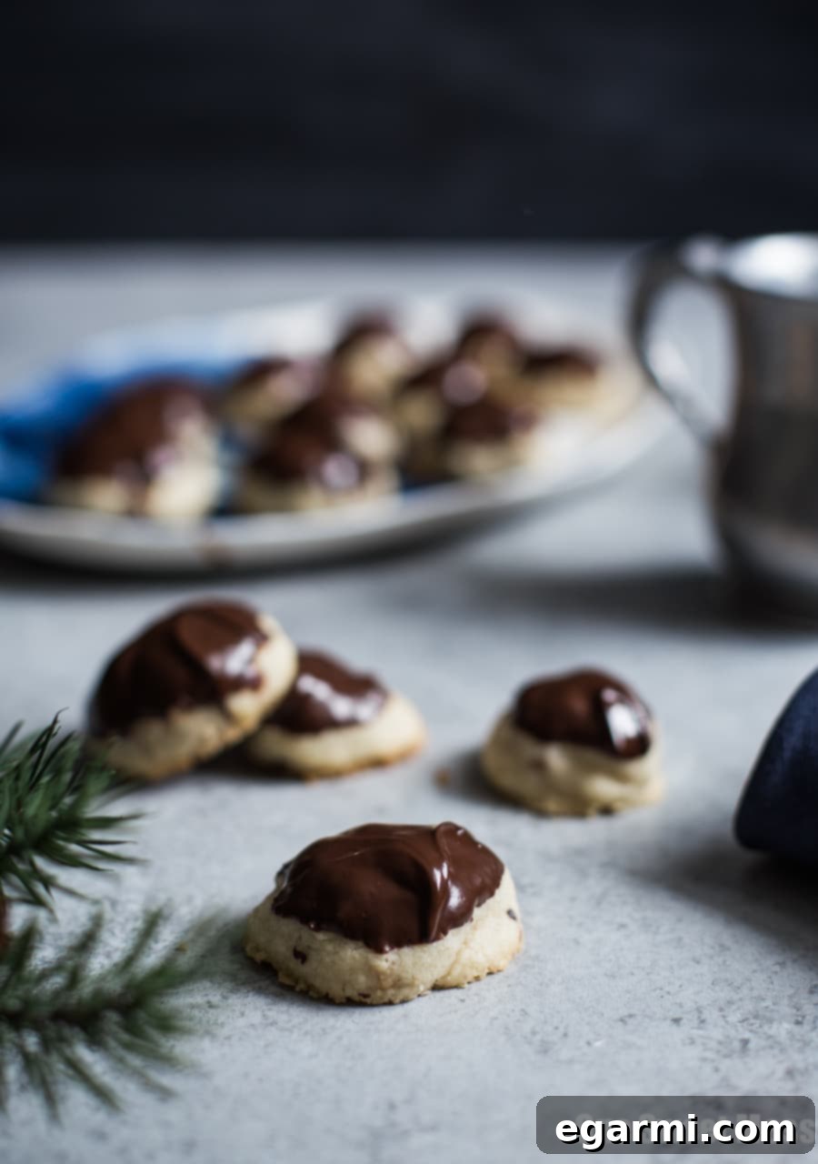 Buttery Hazelnut Sandies Dipped in Chocolate 5 Three Chocolate Dipped Hazelnut Sandies displayed on a festive red plate.