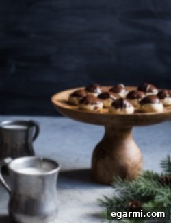 Buttery Hazelnut Sandies Dipped in Chocolate 7 Final plated Chocolate Dipped Hazelnut Sandies ready to eat.