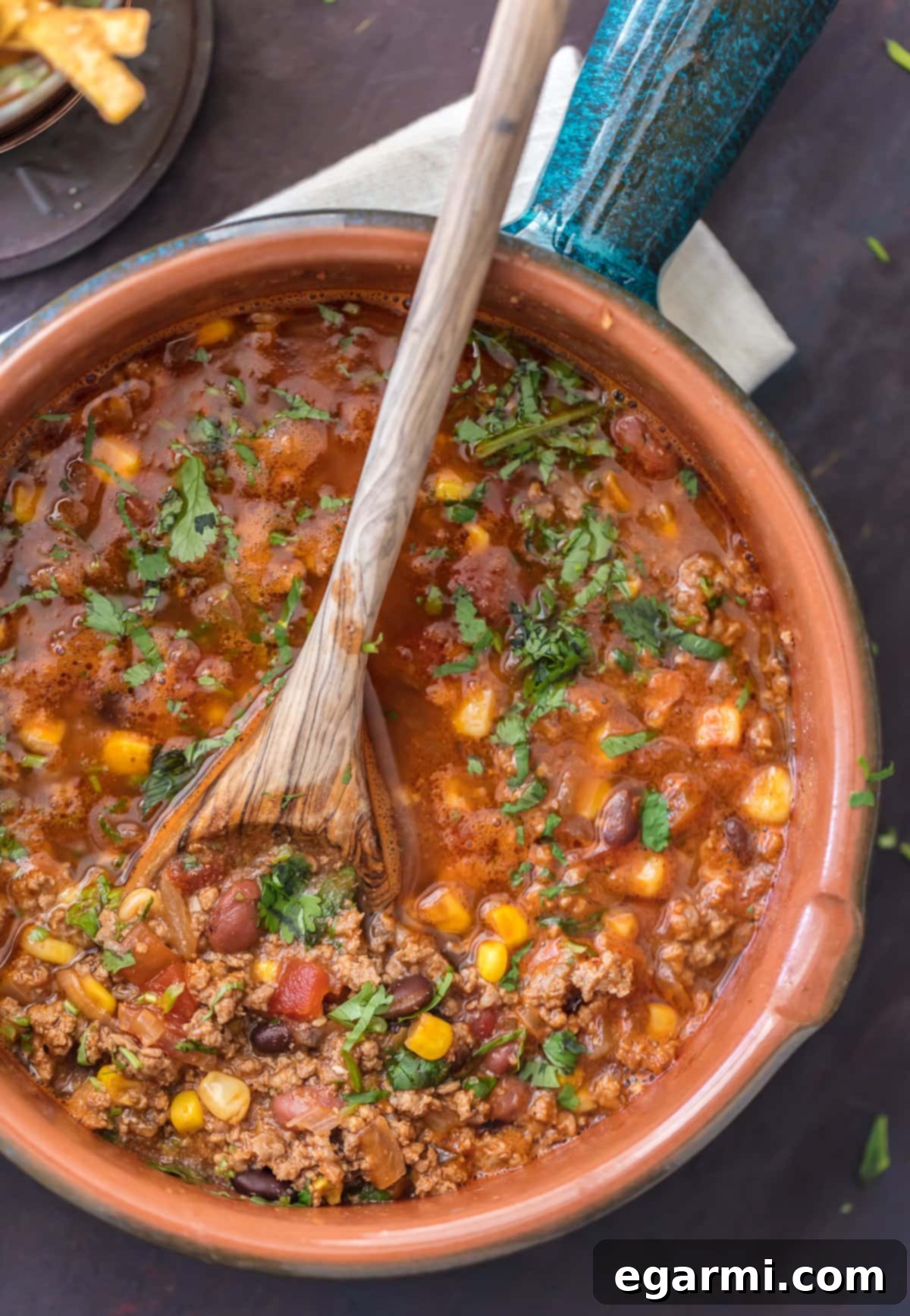 Beef Tortilla Soup