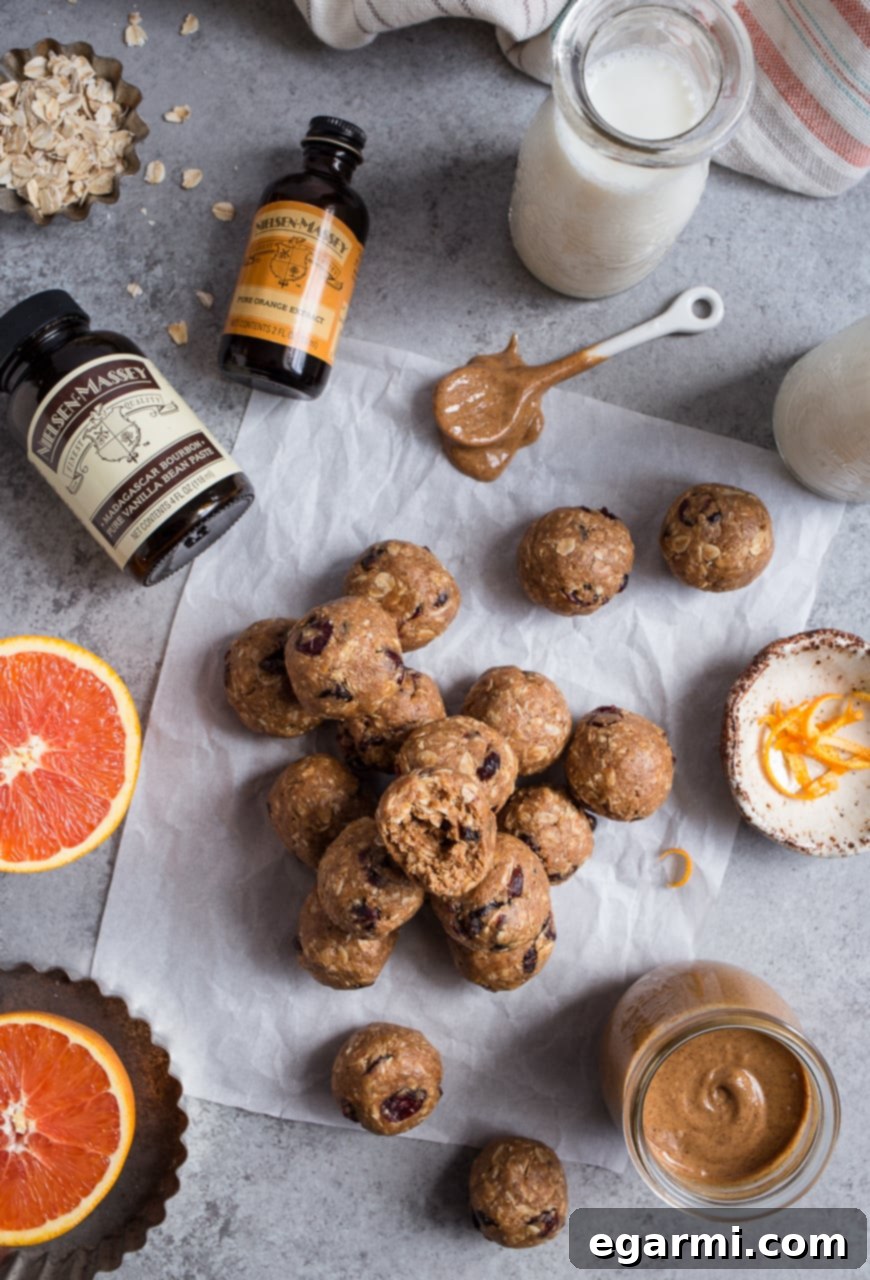 Cranberry Orange Oatmeal Cookie Energy Bites - Healthy Snack