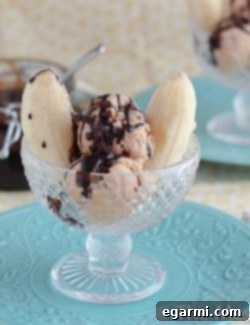 Decadent Peanut Butter Hot Fudge Sundae 2 Finished Peanut Butter Hot Fudge Sundae