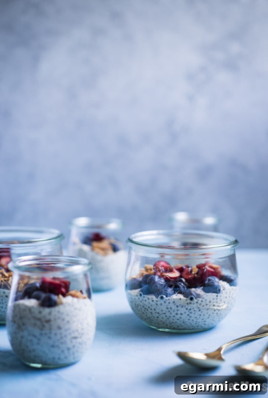 Simply Vanilla Gluten-Free Vegan Chia Pudding 4 This Very Vanilla Chia Pudding is gluten-free, vegan-friendly, naturally sweetened, and high in protein. It's a great on-the-go healthy breakfast option.
