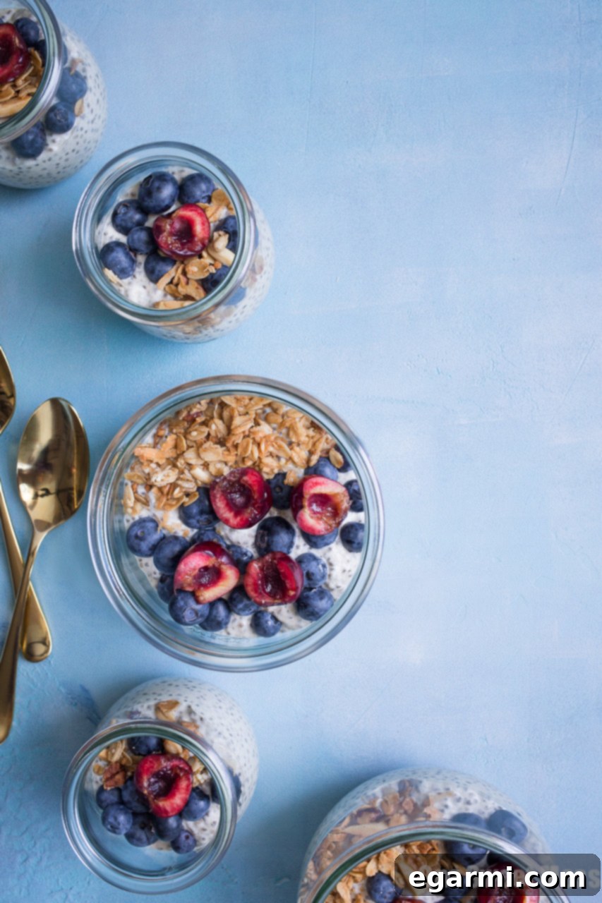 Simply Vanilla Gluten-Free Vegan Chia Pudding 6 This Very Vanilla Chia Pudding is gluten-free, vegan-friendly, naturally sweetened, and high in protein. It's a great on-the-go healthy breakfast option.