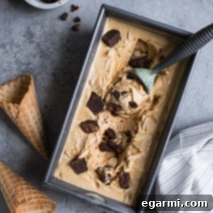 Salted Caramel Bourbon Fudge Brownie Ice Cream