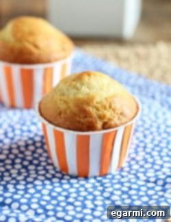 A freshly baked Peach Butter Muffin, showcasing its golden top and inviting texture.